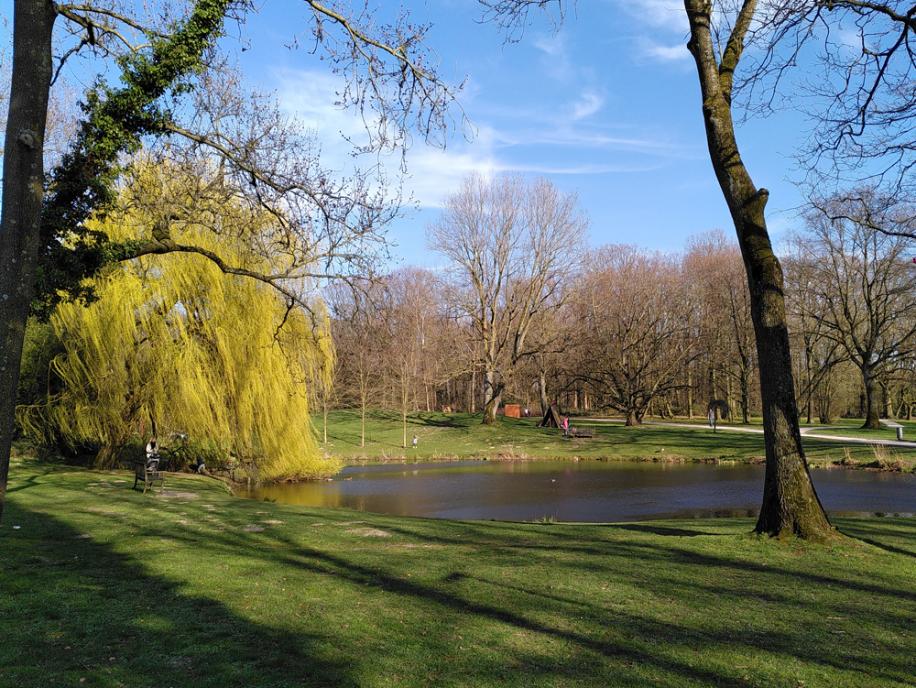 Bochum Teich im Schlosspark Weitmar