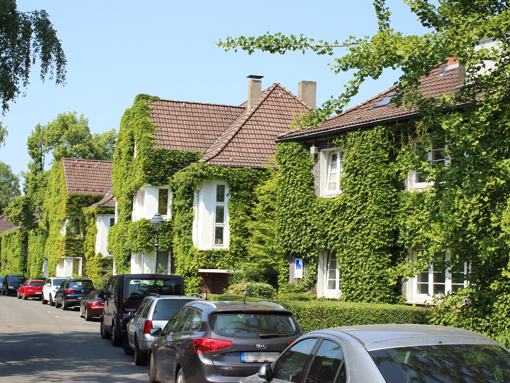 Straßenzug Reihenhäuser, von grünem Efeu bewachsen, entlang einer gepflasterten Straße. Wohnhaus Margarethenhöhe Essen