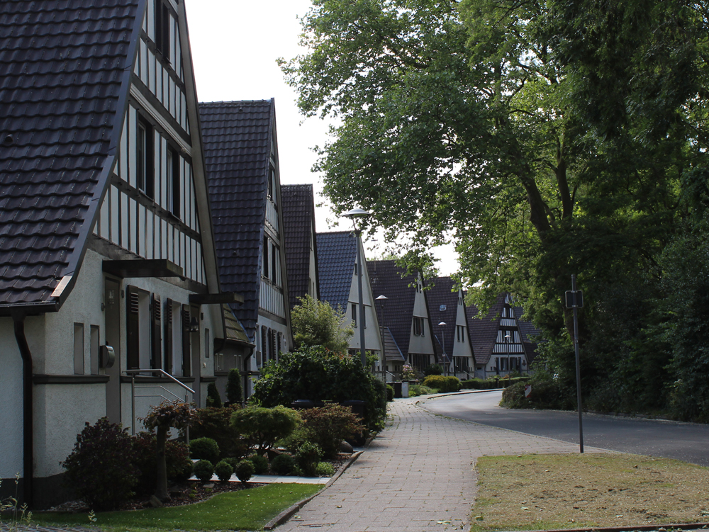 Straßenzug Kappeskolonie Ansicht einer ruhigen Straße mit modernen Häusern mit tief runtergezogenen Dächern und grünen Bäumen. Dahlhauser Heide Bochum